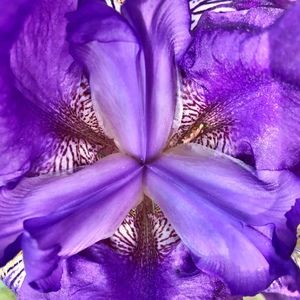 Meet your Posher, Yuriko